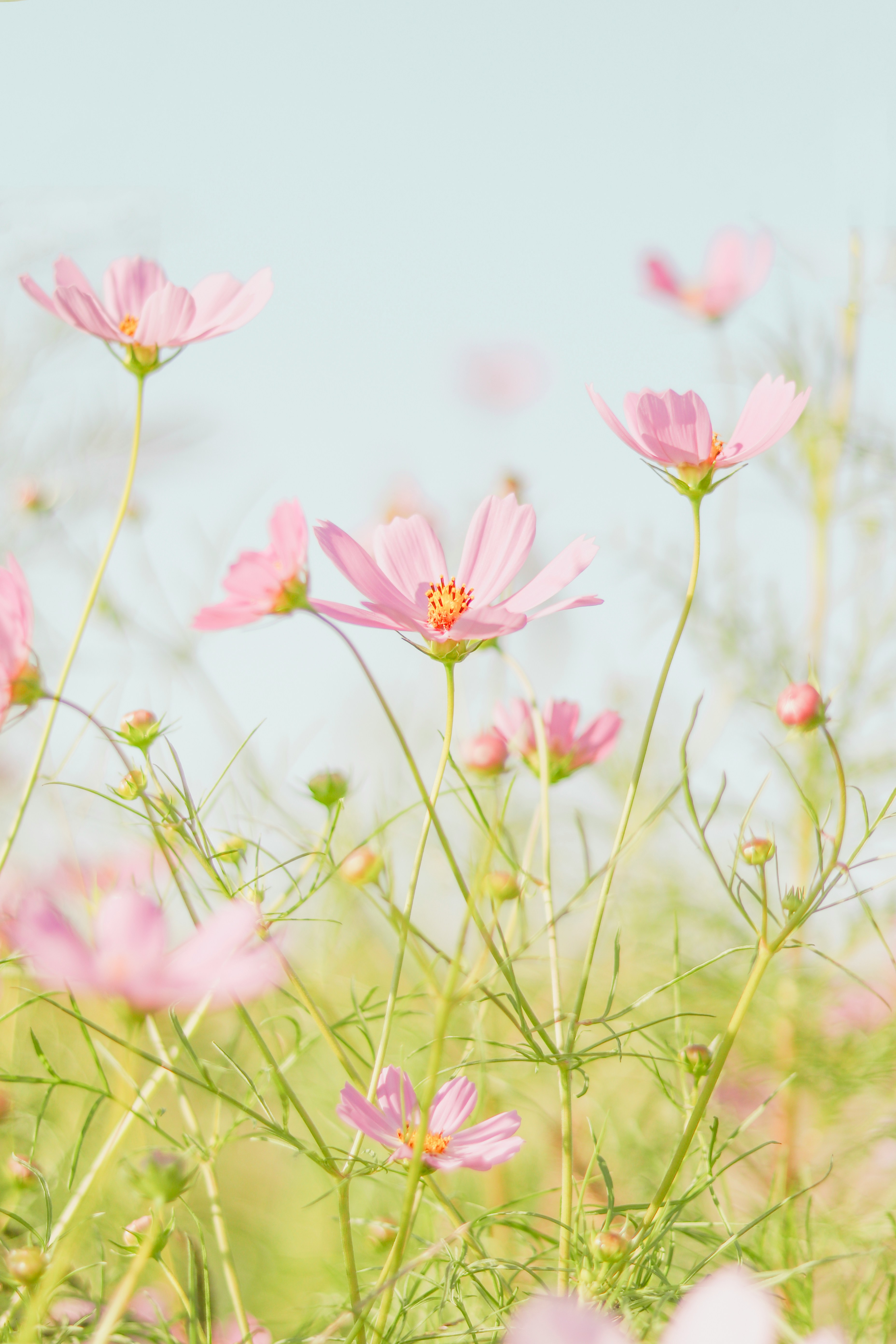 Managing Epidermolysis Bullosa in the Heat