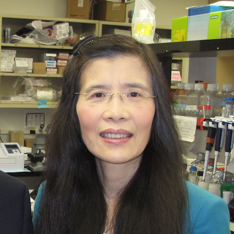 Mei Chen